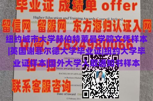 纽约城市大学赫伯特莱曼学院文凭样本|英国谢菲尔德大学毕业证|纽约大学毕业证样本|国外大学入取通知书样本