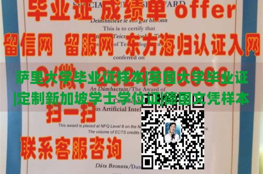 萨里大学毕业证样本|英国大学毕业证|定制新加坡学士学位证|德国文凭样本